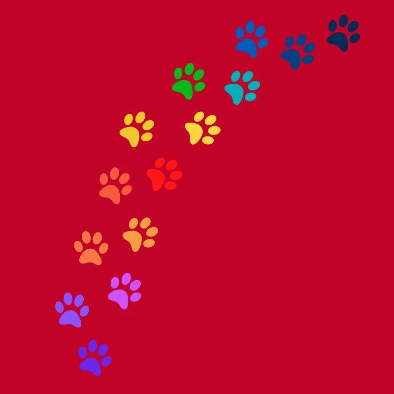 Bunte Tatzen von Hunden oder Katzen | Regenbogen