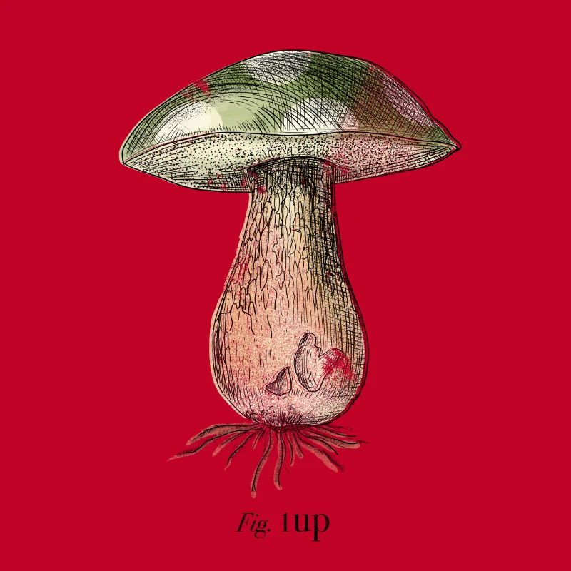 1Up