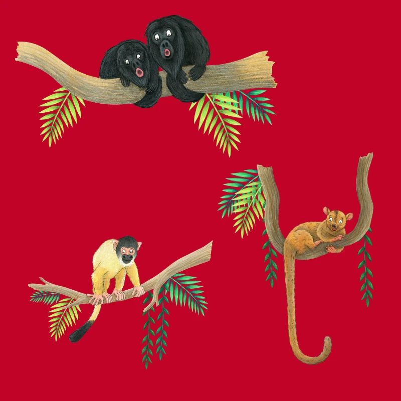funny monkeys
