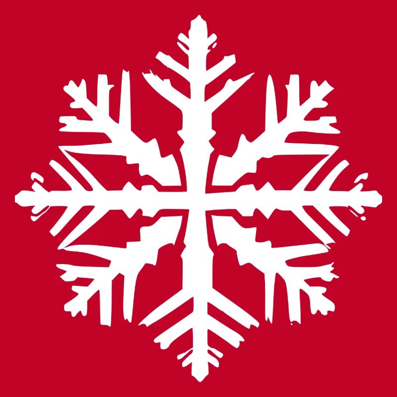 Snowflake Snow Winter Christmas Cold 12