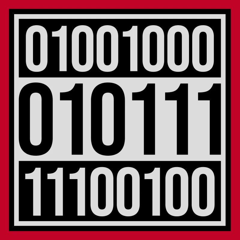 Binary Code Program Language