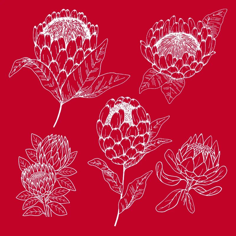 Groupe de fleurs protea