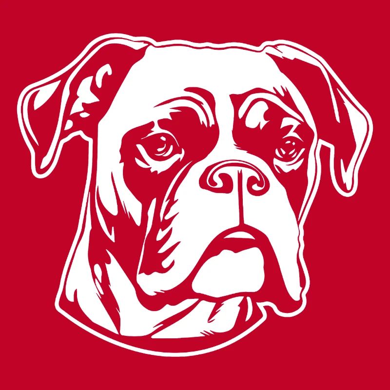Boxer Hund Hunderasse