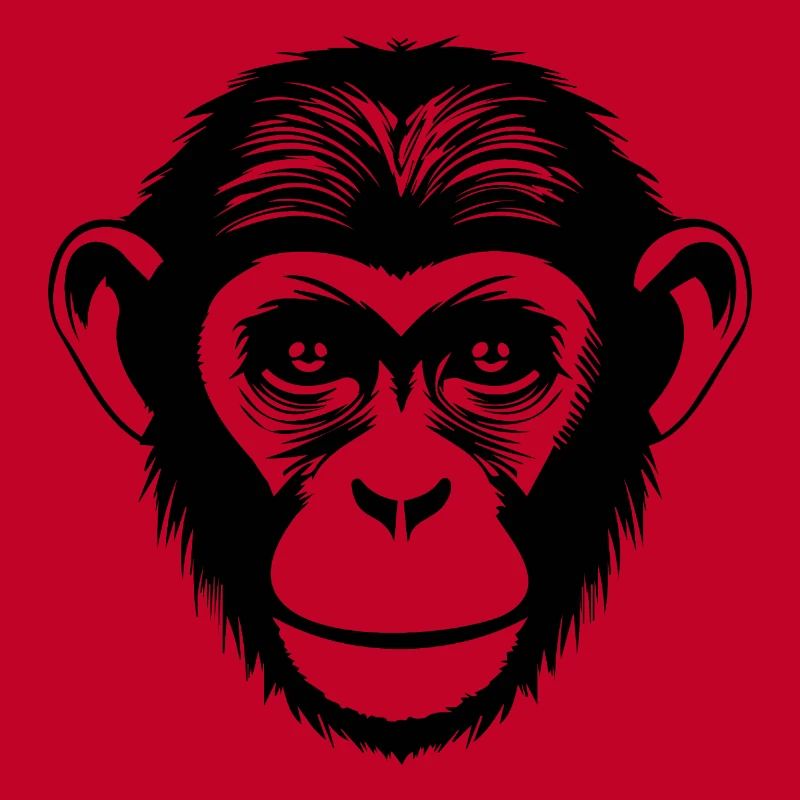 Singe Singe Visage de Singe Jungle