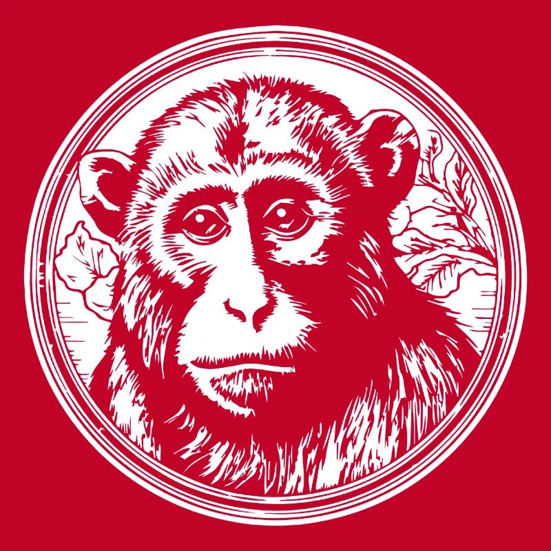 Monkey Monkey Monkey Face Jungle