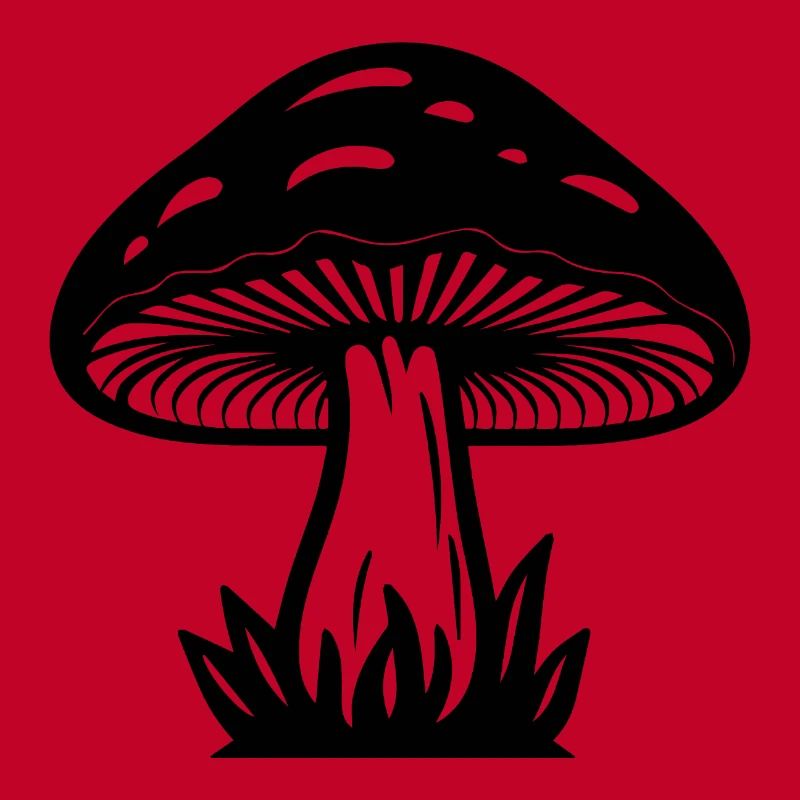 Champignon Cueilleur de champignons Champignons Champignons