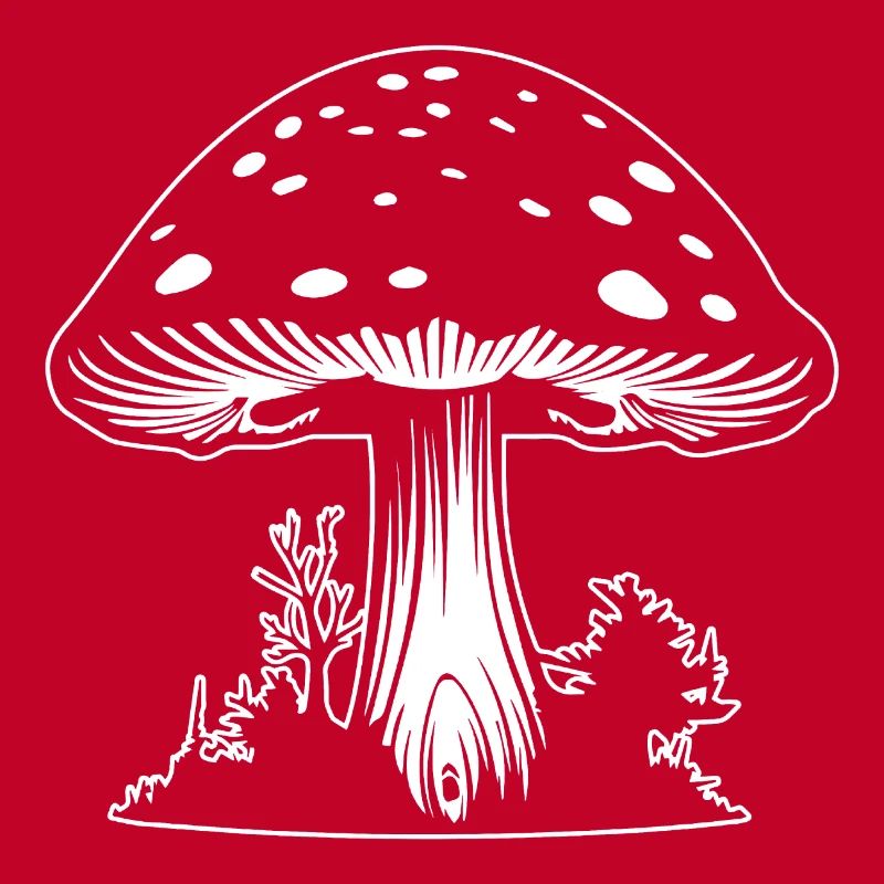 Champignon Cueilleur de champignons Champignons Champignons