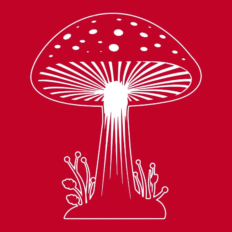 Champignon Cueilleur de champignons Champignons Champignons