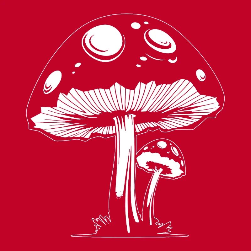 Champignon Cueilleur de champignons Champignons Champignons