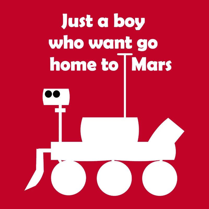 Excursion into space