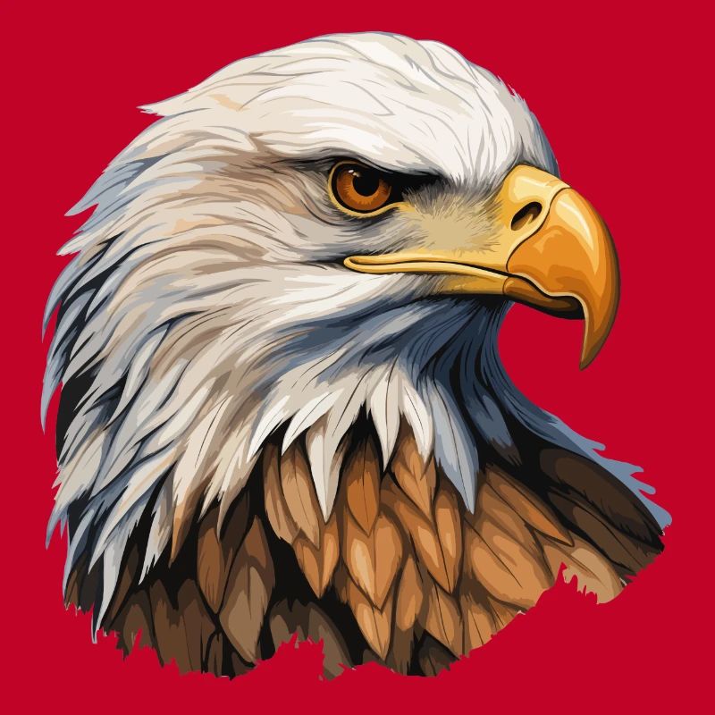 White-tailed Eagle Head