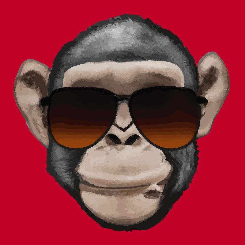 Monkey with Sunglasses Face Funny