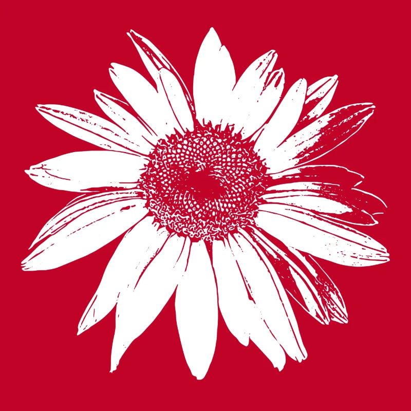 Gänseblümchen
