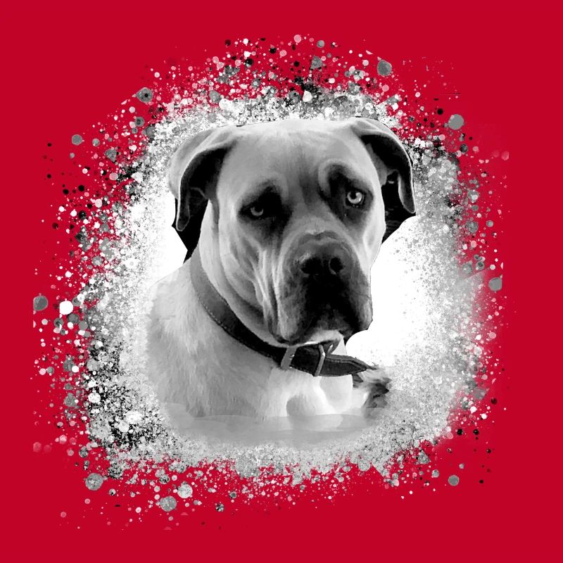 Cane Corso,Chien,Peinture,Graffiti,Bulldog