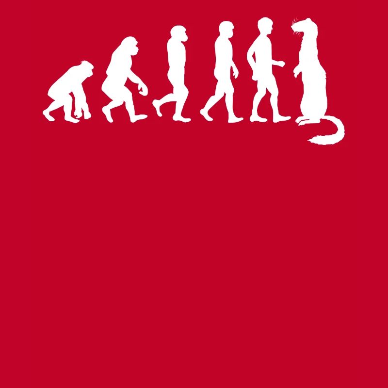 Frettchenfreund - Frettchen - Lustig - Evolution