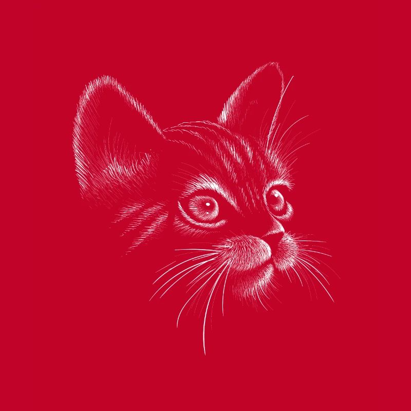 Chat dessiné à la main