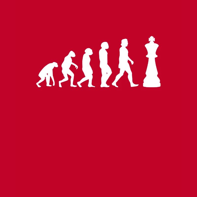 CHESS CHESS PLAYER CHESSBOARD Chess Evolution
