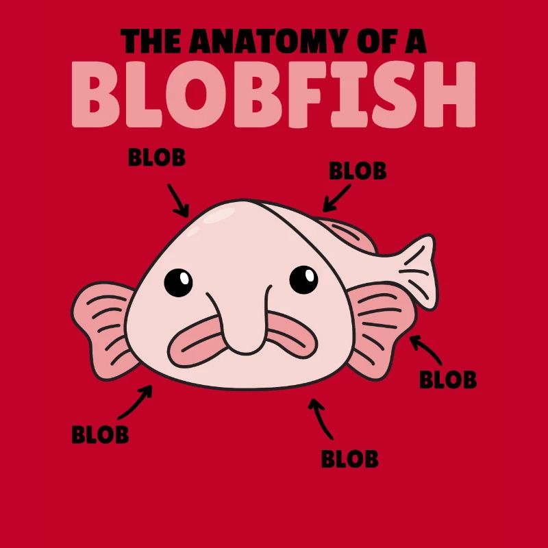 Blobfish Explication Anatomie d’un Blobfish