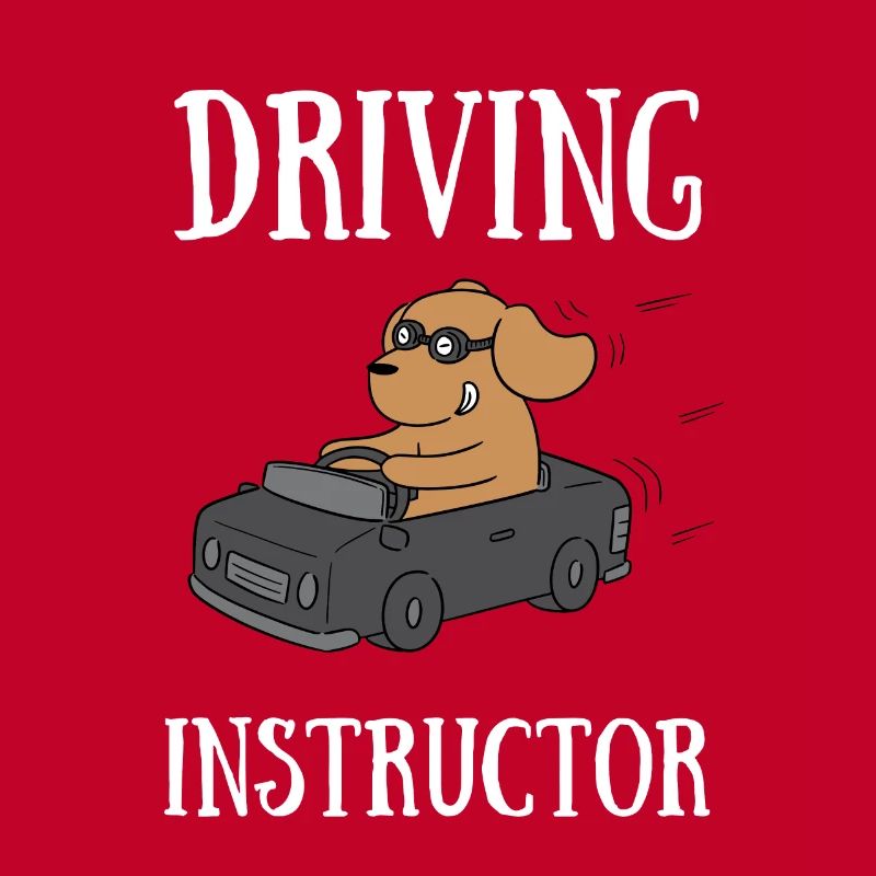 Driving Instructor Driver Car Parking Exam Driving