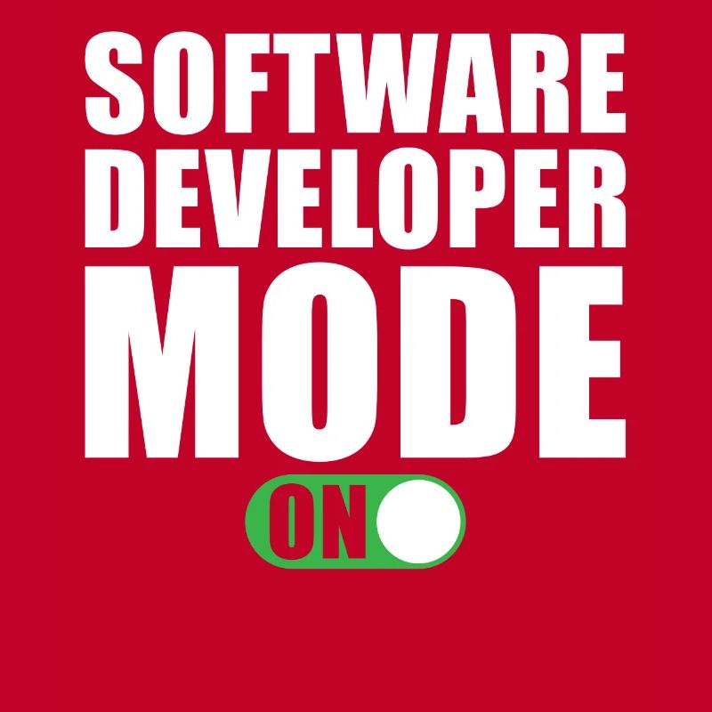 Software Entwickler Modus Ein