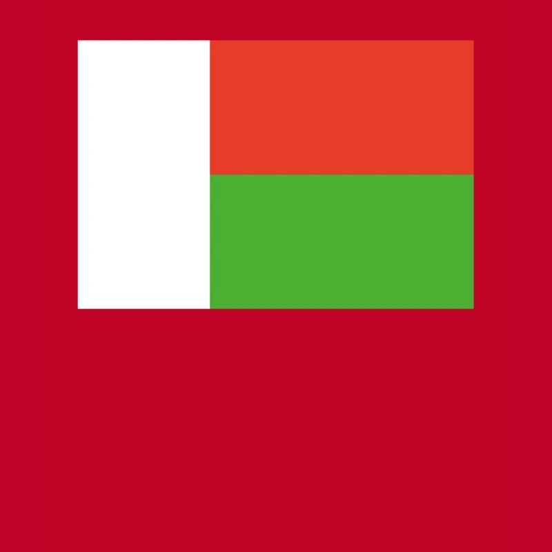 Offizielle Madagaskarflagge Madagassisch oder Madagassisch