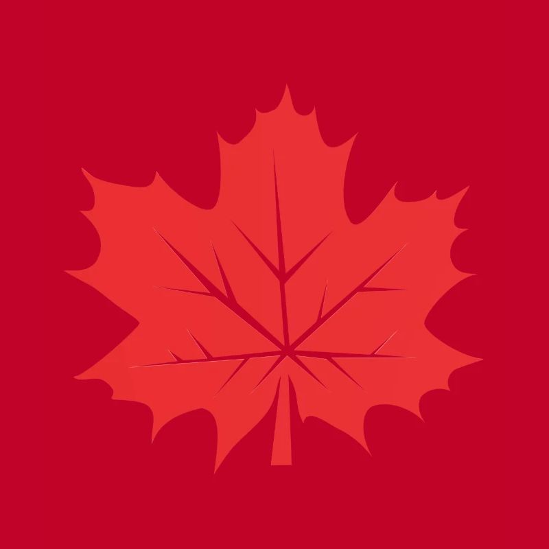 Feuille d’érable Feuille Canada Arbre