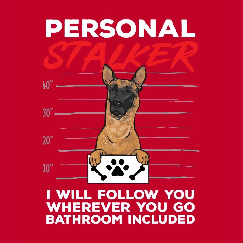 Malinois Belgian Shepherd Mechelaar Dog