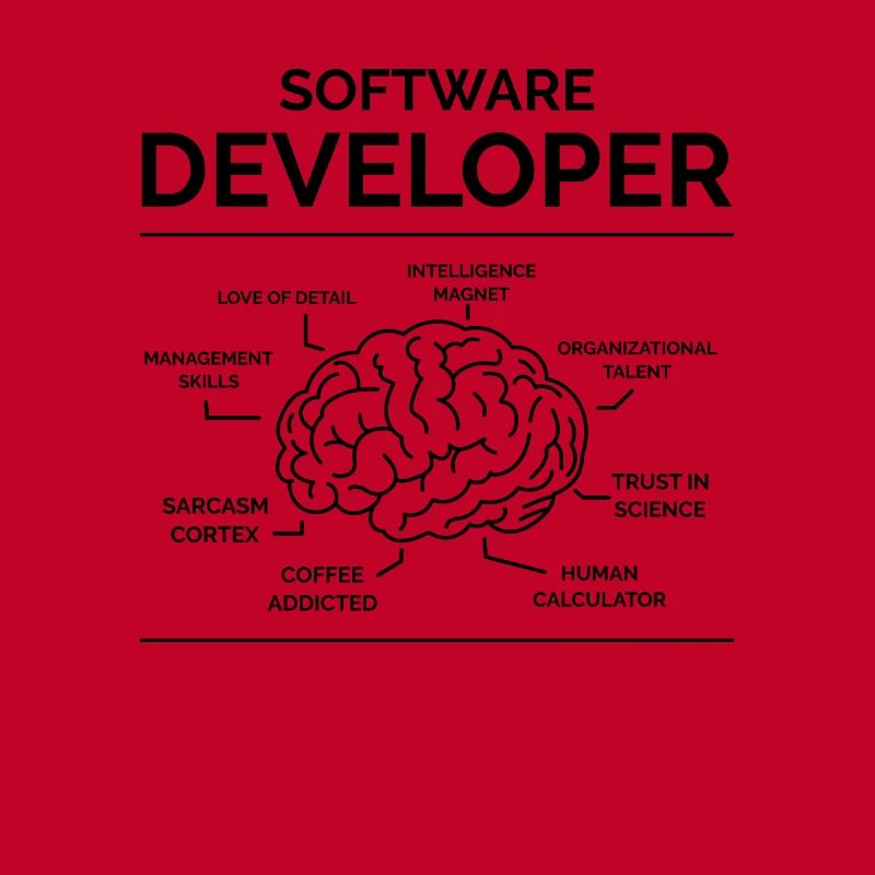 Software Developer