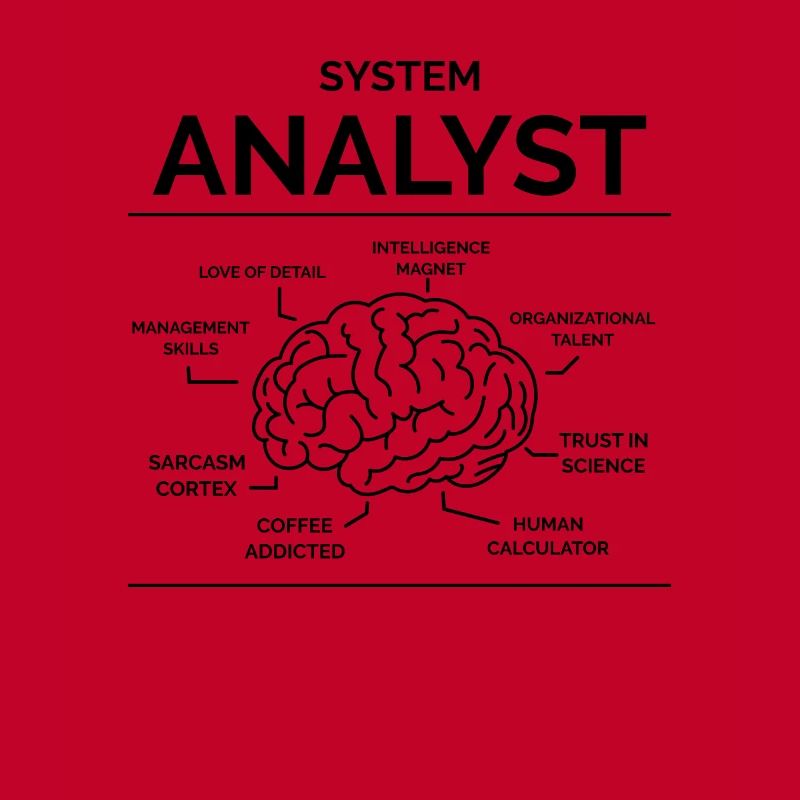 Analyste de systèmes
