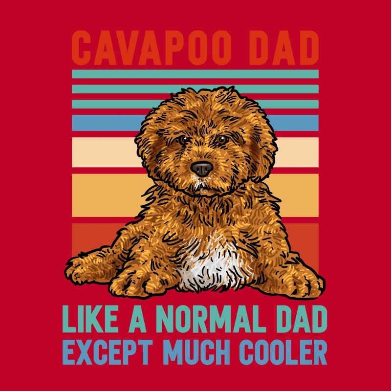 Cavapoo Cavoodle Capoodle Dog
