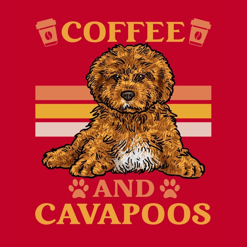 Cavapoo Cavoodle Capoodle Chien