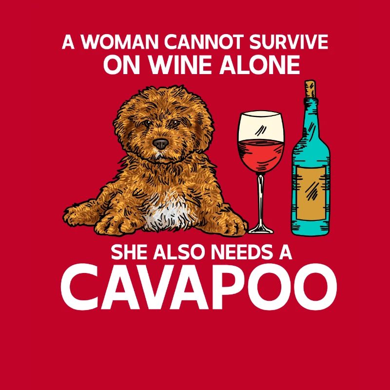 Cavapoo Cavoodle Capoodle Chien
