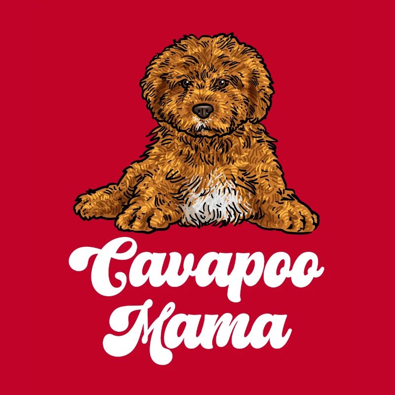 Cavapoo Cavoodle Capoodle Hund
