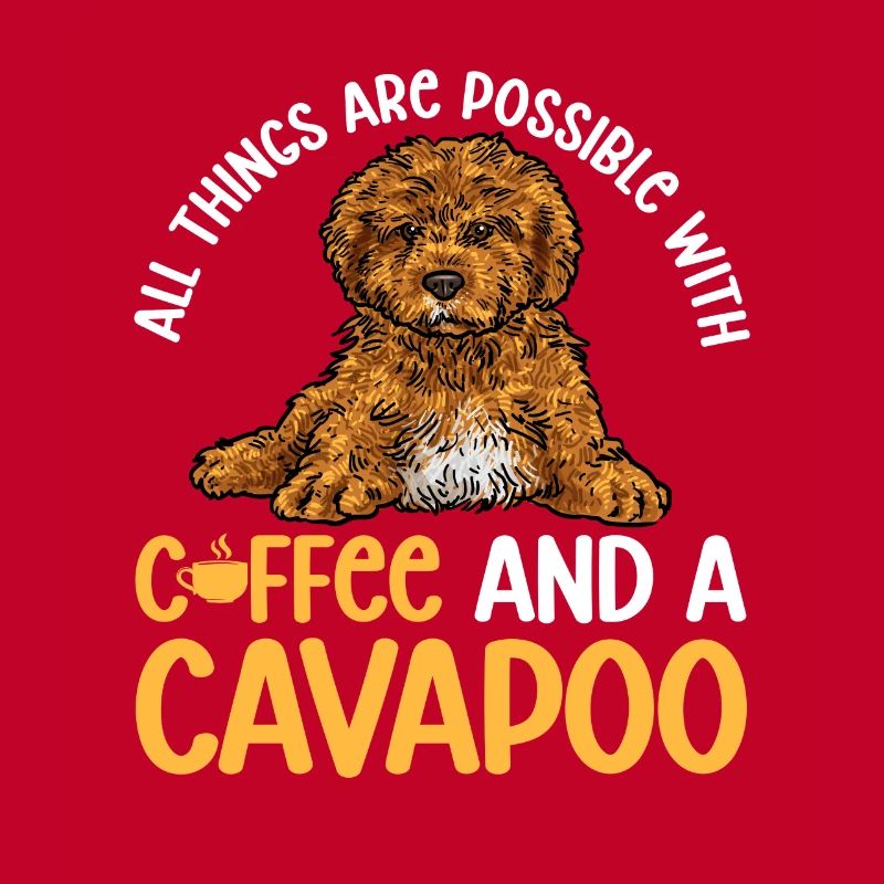 Cavapoo Cavoodle Capoodle Dog