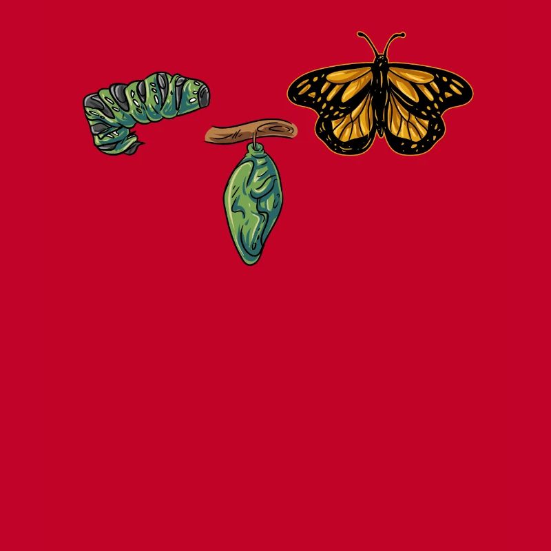 Evolution butterfly