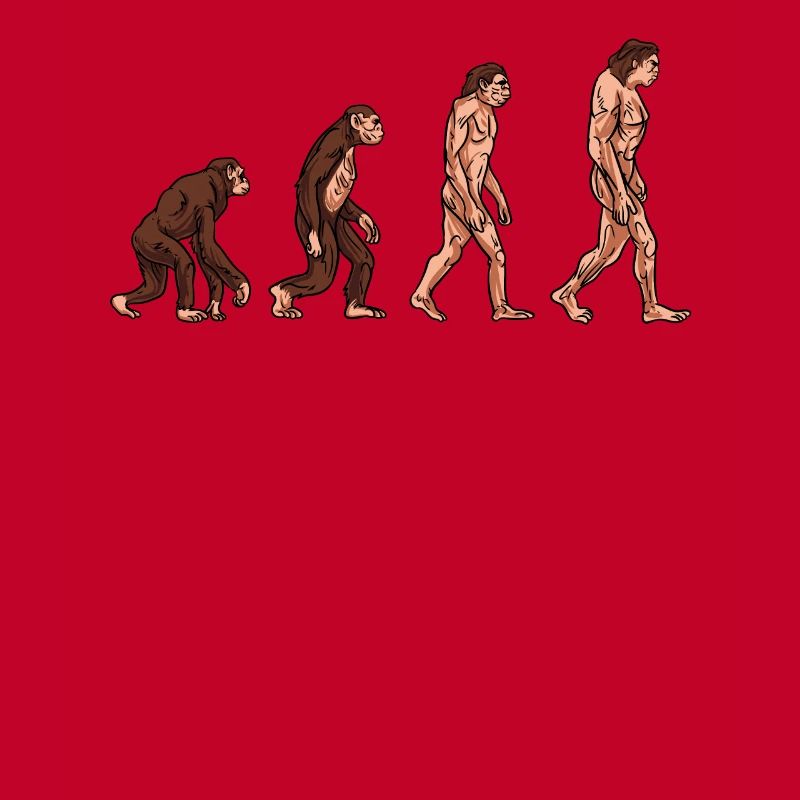 Human evolution