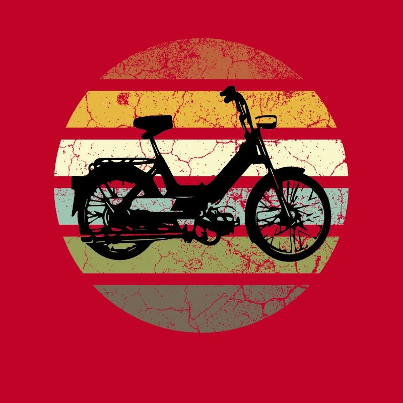 DDR Mobylette Oldtimer Roller Mofa Scooter 2 Takter
