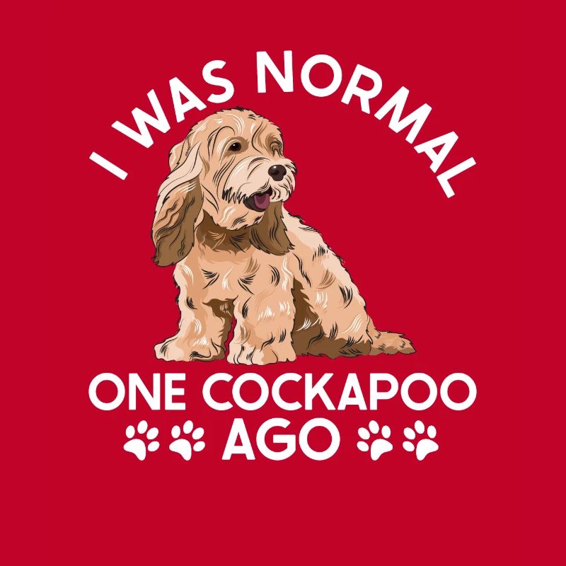 Cockapoo Dog