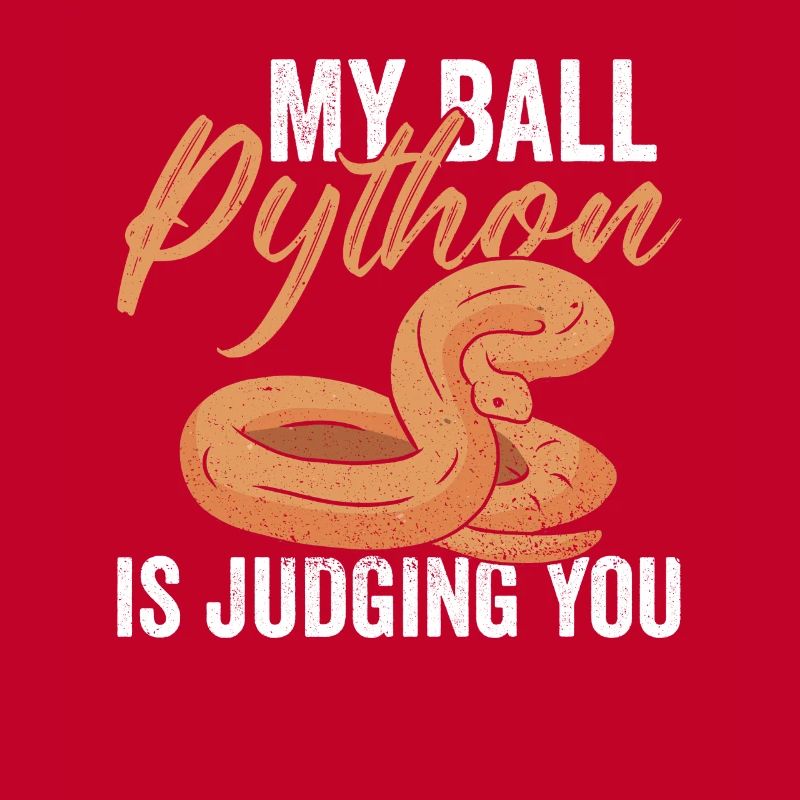 Python Königspython Banana Ball Python