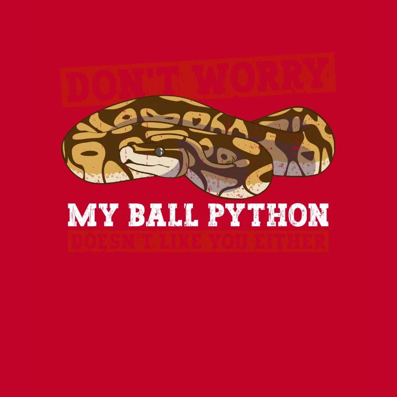Königspython Boule de banane Python