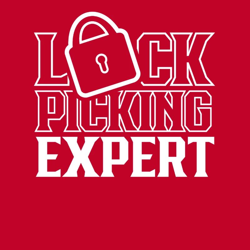 Lockpicking Expert Lock Picking Cracking Lock