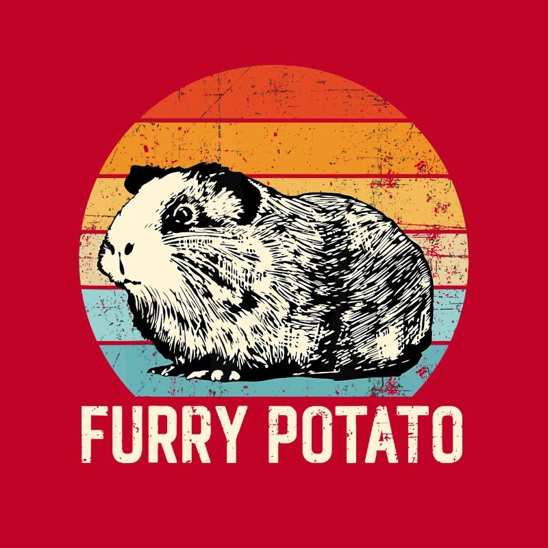 Guinea Pig idea, Furry Potato