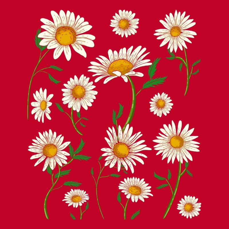 Gänseblümchen Hobbygärtner Geschenk Blumen Botanik