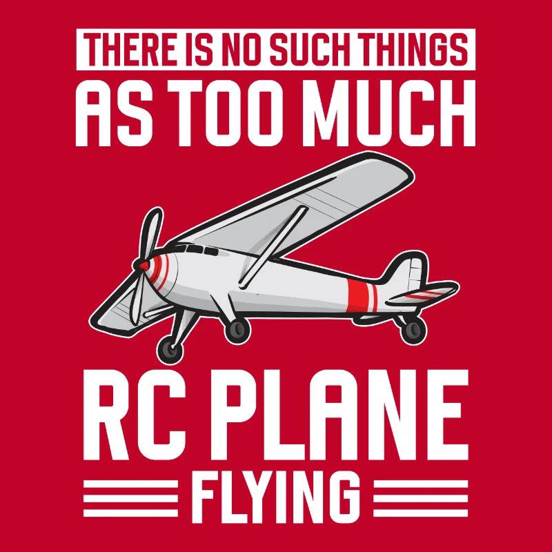 Modèle d’avion télécommandé