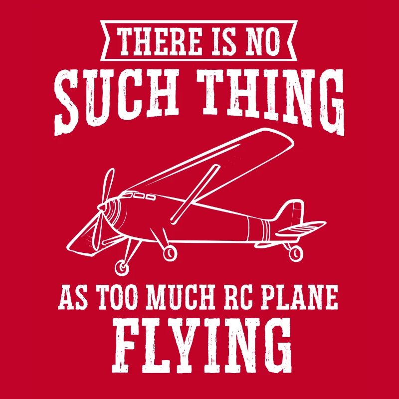 Modèle d’avion télécommandé