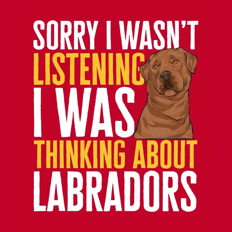 Foxred Labrador Fox Red Labrador Retriever