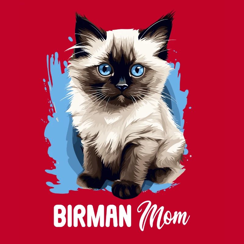 Birman Cat Birma Katze