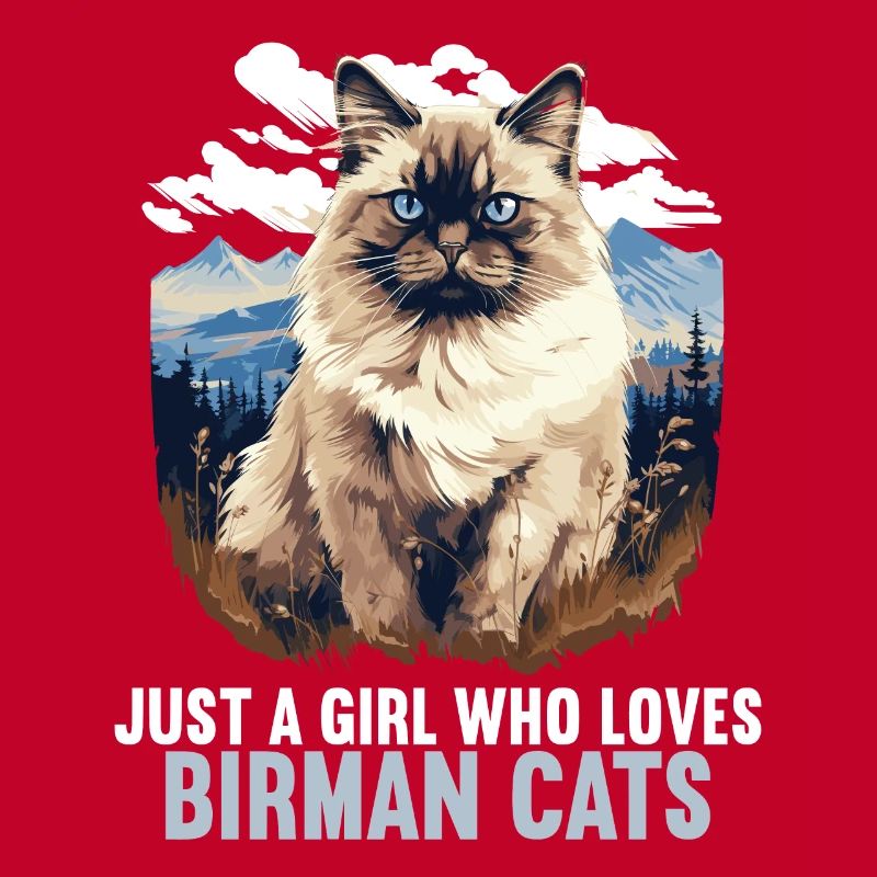 Birman Cat Birma Katze