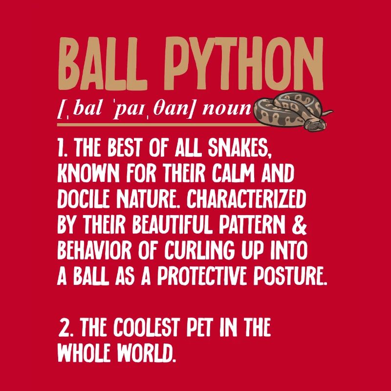 Ball Python Snake King Python