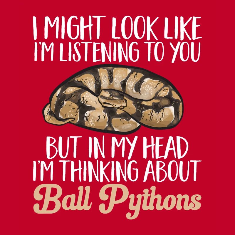 Ball Python Snake King Python